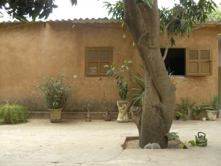 baobab villa num:862